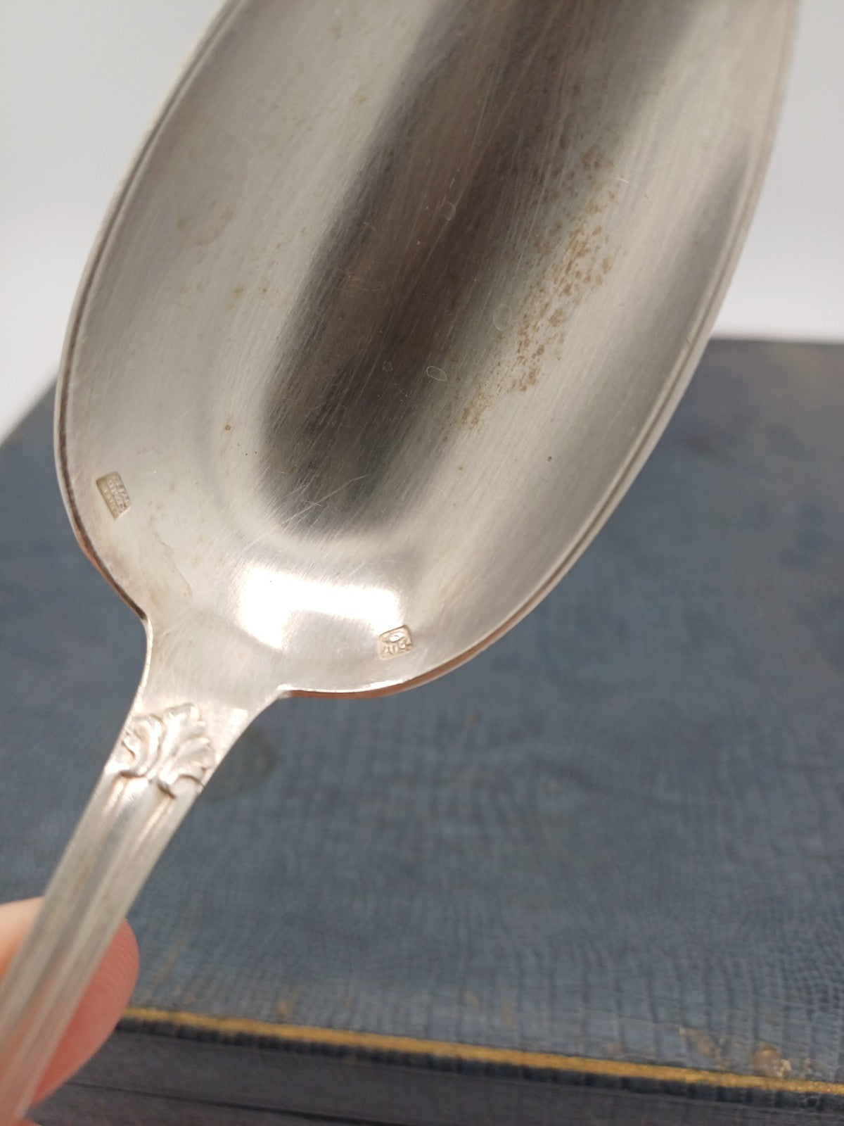 Image #4