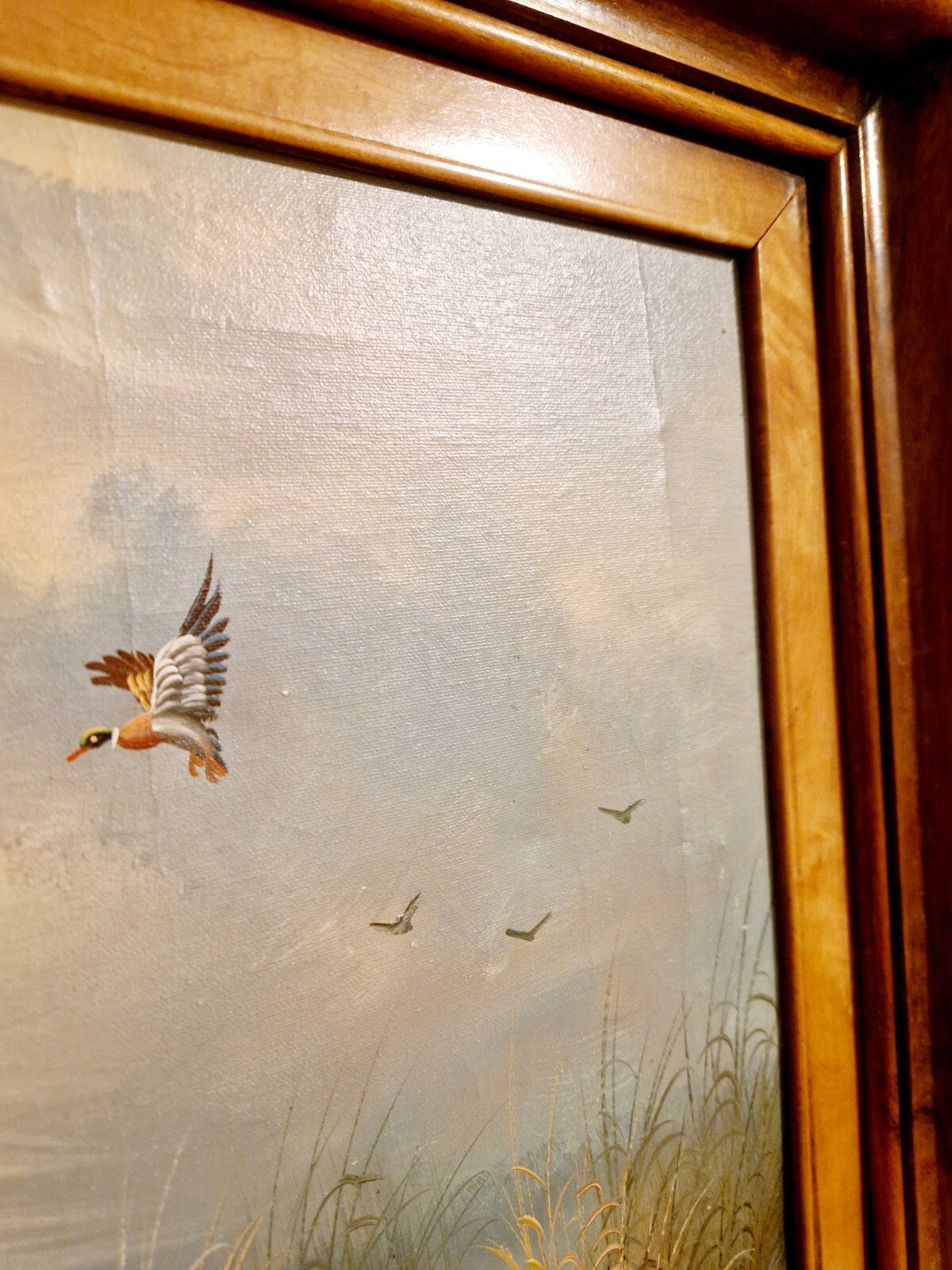 Image #12
