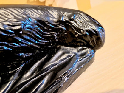 Image #11