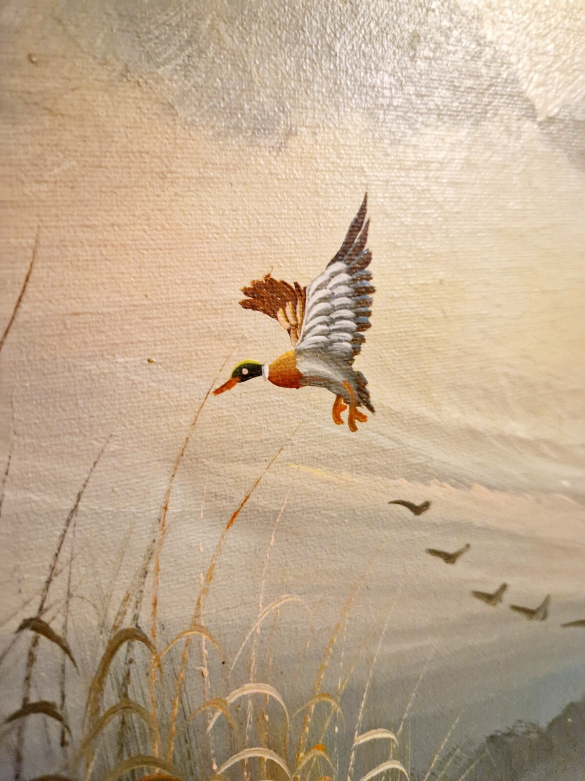 Image #8