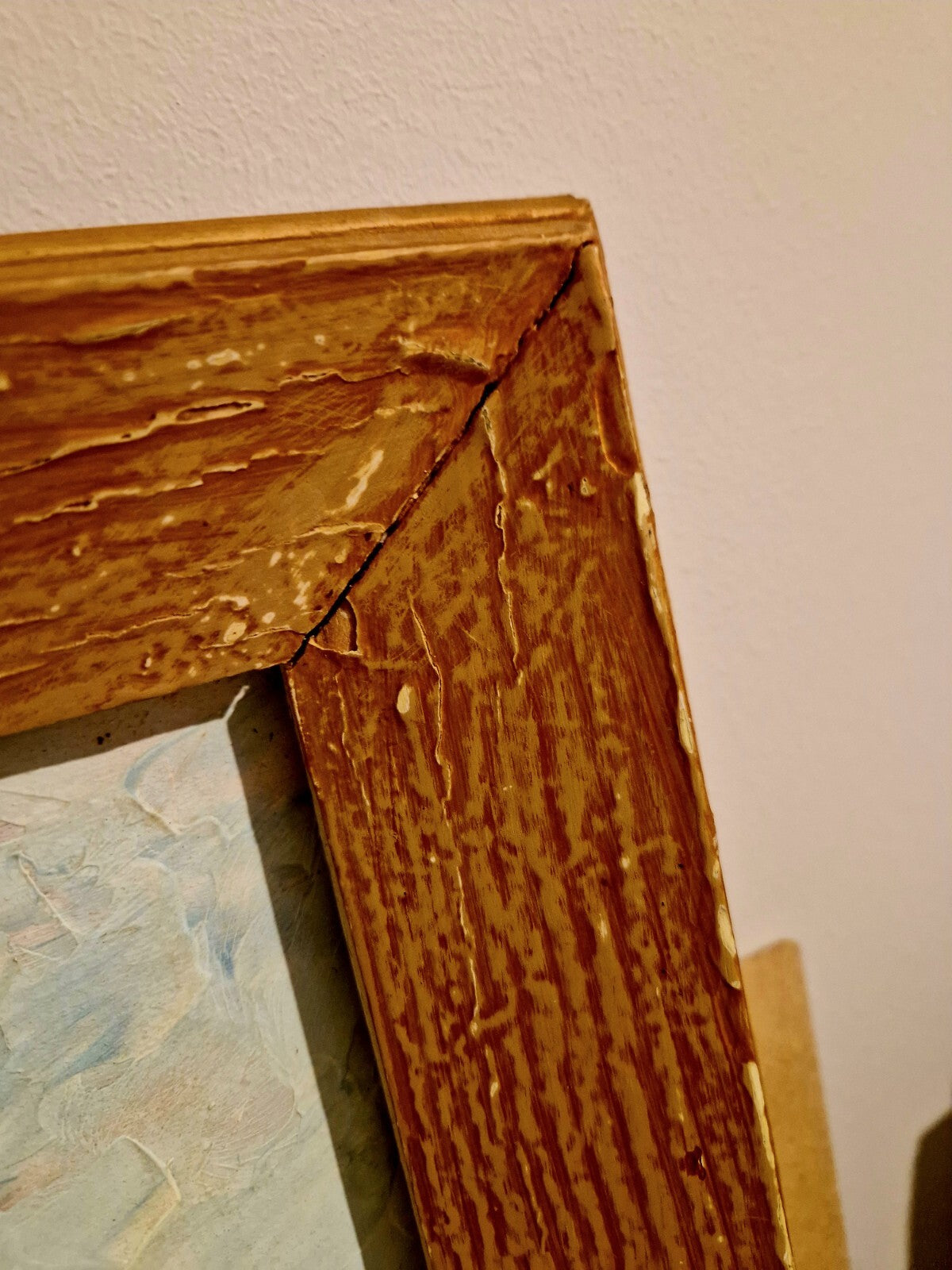 Image #11